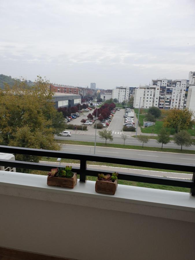 Apartment Tito Lux